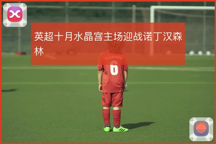 英超十月水晶宫主场迎战诺丁汉森林